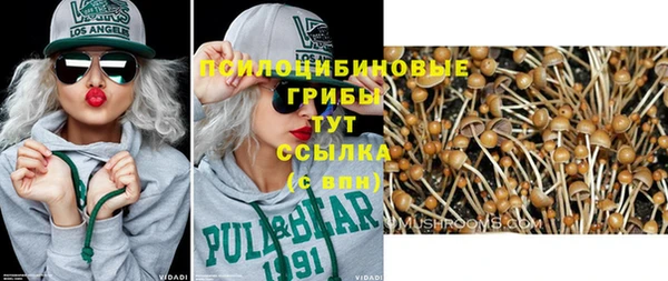 a pvp Арсеньев